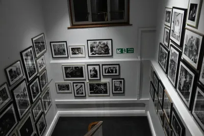 DSC_6981 (Large).JPG